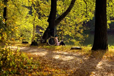 Izmailovsky Park