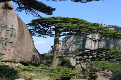 2017年泰山、黄山、青岛7天自由行亲子特惠之旅（超多美图）