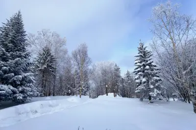 南方人的冰雪梦
