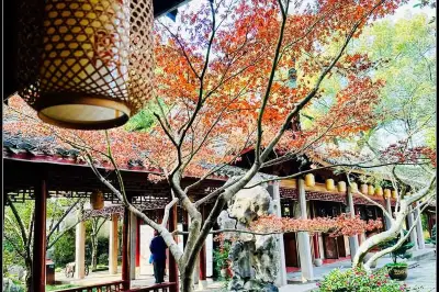 2023.12宁波、杭州、乌镇、嘉兴自由行