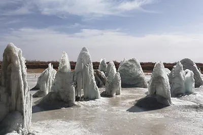 Wuzi Lake Ice Forest