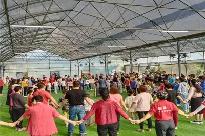 One-Day Outdoor Picnic, Fun Activities, Team Building, and Farmhouse Tour Around Fenghuang Mountain in Bao'an, Shenzhen