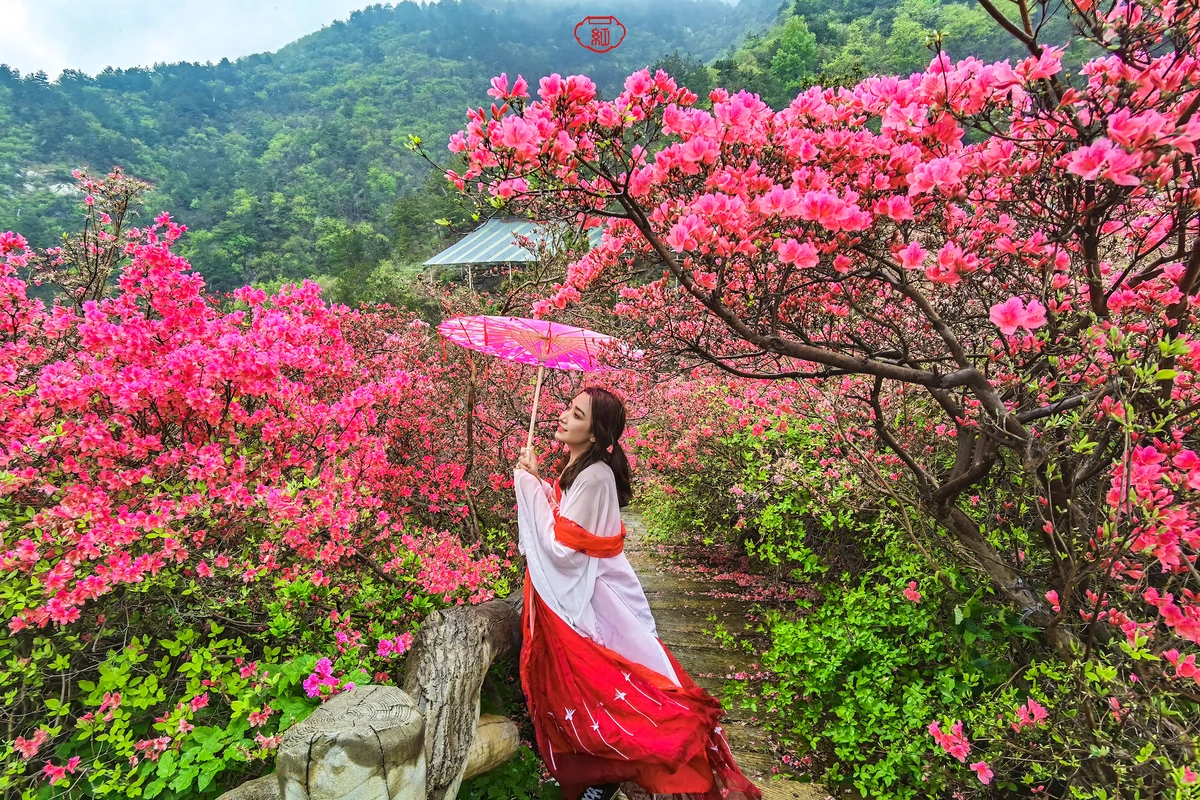 武汉，你好！春日花样生活，6天5晚圆自己一场风花雪月的梦