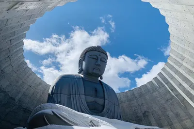 Hill of the Buddha