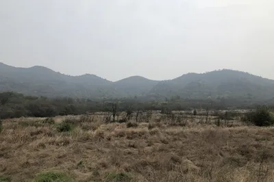 龍泉山風景區週末休息遊玩