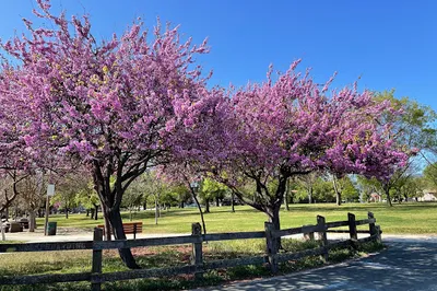 Houge Park
