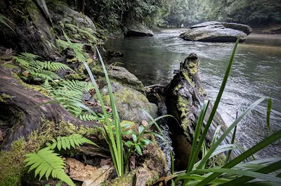 The Rocks Reserve - Swimming & Walking Trail