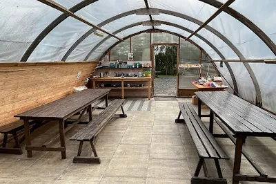 Mosskogar Camping