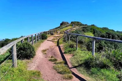 Sydney's Long Reef Point: A Place Said to Be Like a Real-Life Hayao Miyazaki Animation