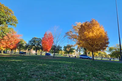 Hunting Park