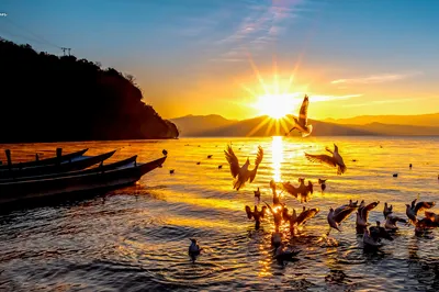 Sunrise Sightseeing at Lugu Lake
