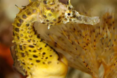 Aquarium Barcelona