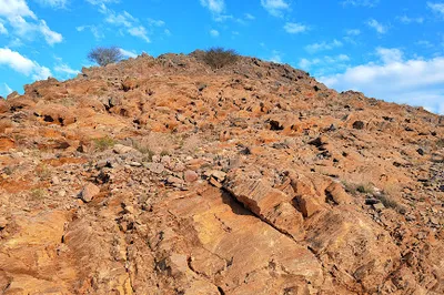 Yiti Viewpoint