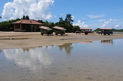 Yubu Island Water Buffalo Cart