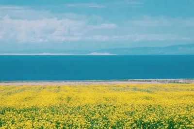 The Most Beautiful Grand Loop: Fulfilling All Your Fantasies of the Northwest