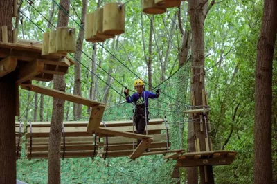 Tree Jumping Forest Adventure Park
