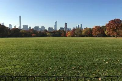 慢生活的福利：哪座城市中心的自然景色最愜意？