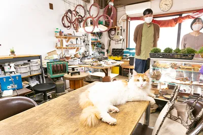 The Secret of Hospitality @ BONSAI LABO 凜: Discovering the Charm of 'Living Art' Bonsai