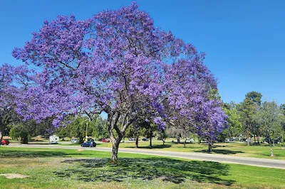 El Dorado East Regional Park