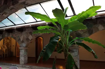 Hacienda Jalisco