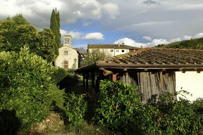 Tuscany Cycle