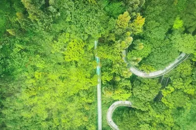 “Involution” in Tourism? These Kunming Hotspots Are ‘Involuting’ Relentlessly