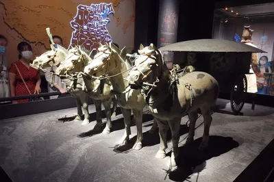 Summer Vacation After the Pandemic Lockdown: Taking My Child to Xi’an to Experience History