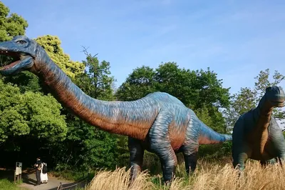 Dino Adventure Nagoya