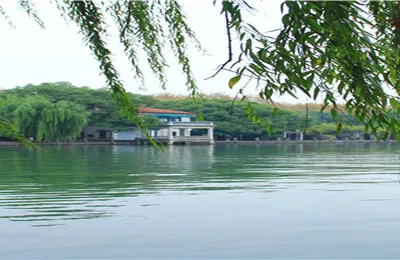 That Year, I Enjoyed Autumn Colors at West Lake, Hangzhou ▏Practical Self-Drive Travel Tips for Hangzhou ▏Winter Travel Tips for Jiangsu, Zhejiang, and Anhui ▏[2020]