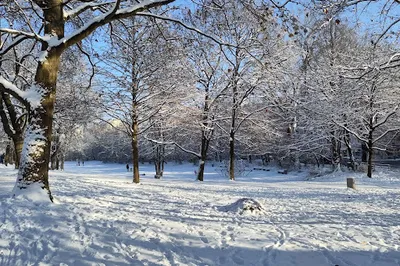 Maßmann Park