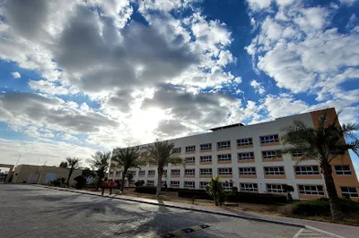 Lulu Staff city