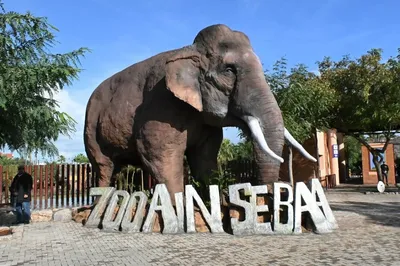 Ain Sebaa Zoo