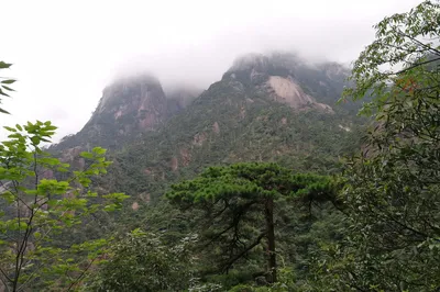 黃山歸來之二