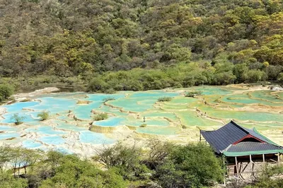 6-Day 5-Night Independent Trip to Chengdu and Surroundings (Chengdu City + Jiuzhaigou + Huanglong + Sanxingdui + Giant Panda Base + Dujiangyan)