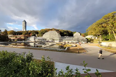 Cherry Blossoms and Illumination at the Nagoya Zoo Botanical Garden