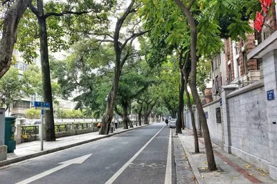 Guangzhou Travel Route Recommendations: Experience the Beauty of the City of Rams