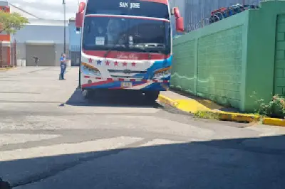 Buses Para Grecia..