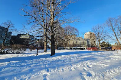 French America Park