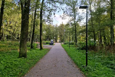 Kopli Birch Park