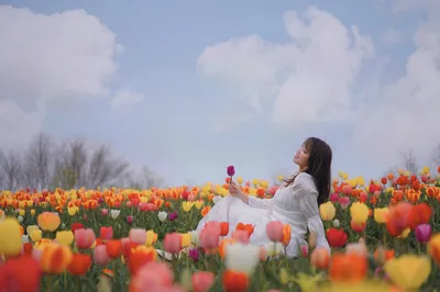 A Hidden Gem! Spot the Netherlands at Beijing International Flower Port