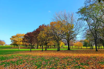 Eamonn Ceannt Park