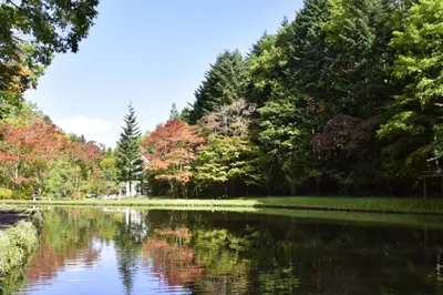 Benizakura Park