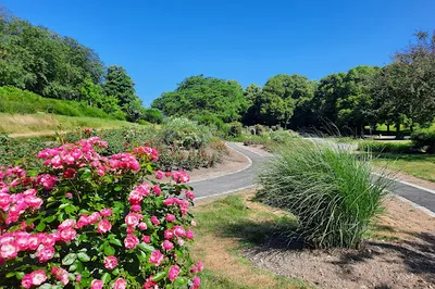 Rose garden Westpark