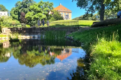 The Viking Garden