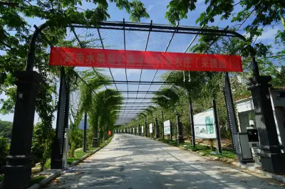 Hainan Tropical Fruit Base