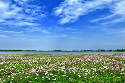Gucheng Lake Slow City
