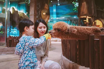 Summer Vacation Kid-Friendly Escape! Ultimate Guide to Baoyan Paradise – Every Minute Worth the Price