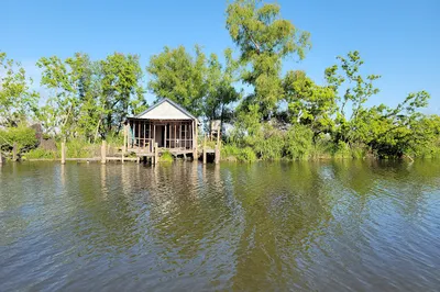 Ultimate Swamp Adventures