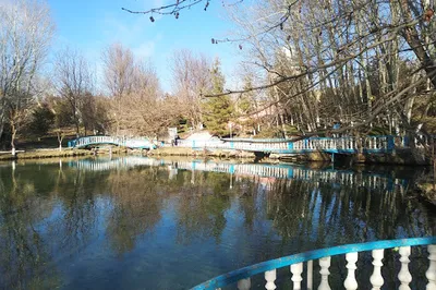 Abu Vaqqos avliya
