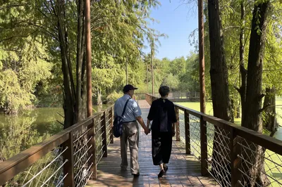 Holding Hands, Strolling Together: A Trip to Qingshan Lake with My Parents